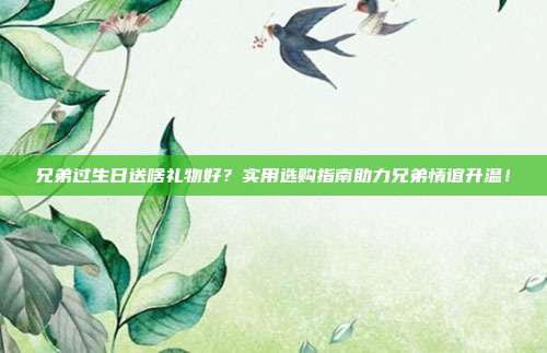 兄弟过生日送啥礼物好？实用选购指南助力兄弟情谊升温！