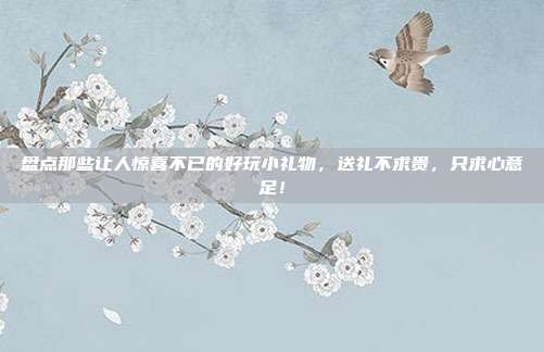 盘点那些让人惊喜不已的好玩小礼物，送礼不求贵，只求心意足！