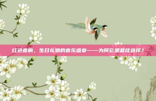 红色音响，生日礼物的音乐盛宴——为何它是最佳选择？