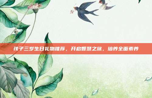 孩子三岁生日礼物推荐，开启智慧之旅，培养全面素养