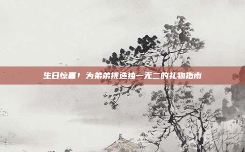 生日惊喜！为弟弟挑选独一无二的礼物指南