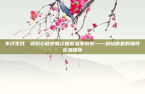 不过生日，这份心意也能让爸爸感受到爱——送给爸爸的独特礼物推荐