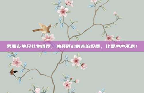 男朋友生日礼物推荐，独具匠心的音响设备，让爱声声不息！