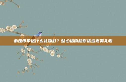 弟媳怀孕送什么礼物好？贴心指南助你挑选完美礼物