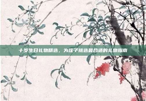 十岁生日礼物精选，为侄子挑选最合适的礼物指南