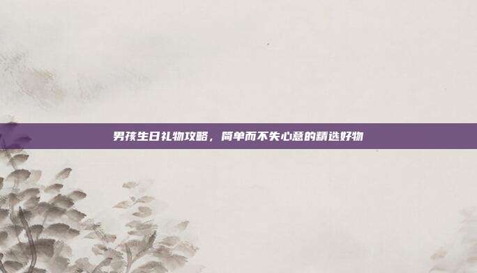男孩生日礼物攻略，简单而不失心意的精选好物