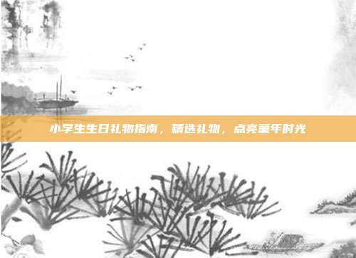 小学生生日礼物指南，精选礼物，点亮童年时光