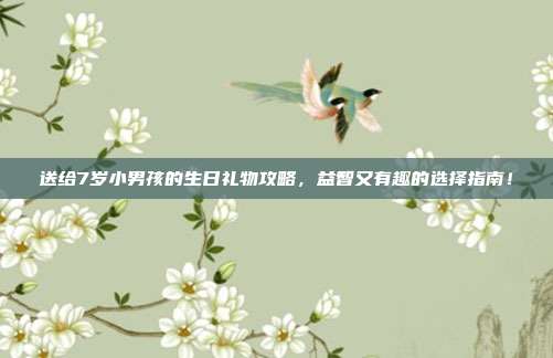 送给7岁小男孩的生日礼物攻略，益智又有趣的选择指南！