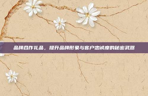 品牌合作礼品，提升品牌形象与客户忠诚度的秘密武器