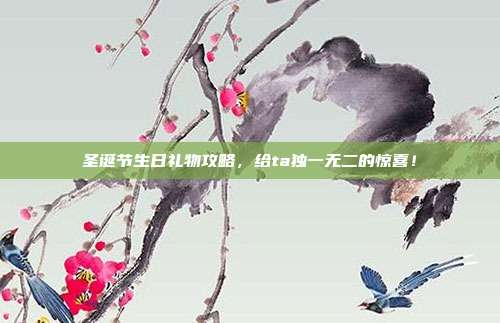 圣诞节生日礼物攻略，给ta独一无二的惊喜！