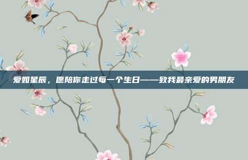爱如星辰，愿陪你走过每一个生日——致我最亲爱的男朋友
