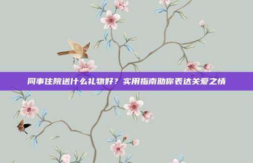同事住院送什么礼物好？实用指南助你表达关爱之情