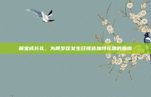 萌宝成长礼，为两岁侄女生日挑选独特礼物的指南