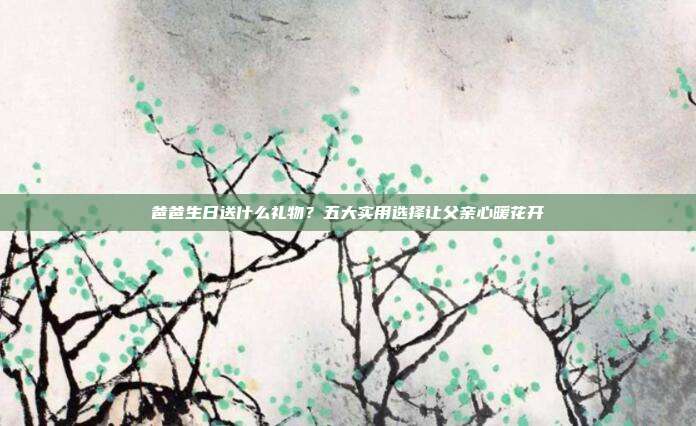 爸爸生日送什么礼物？五大实用选择让父亲心暖花开