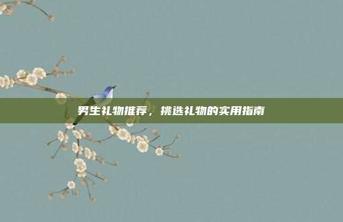 男生礼物推荐，挑选礼物的实用指南