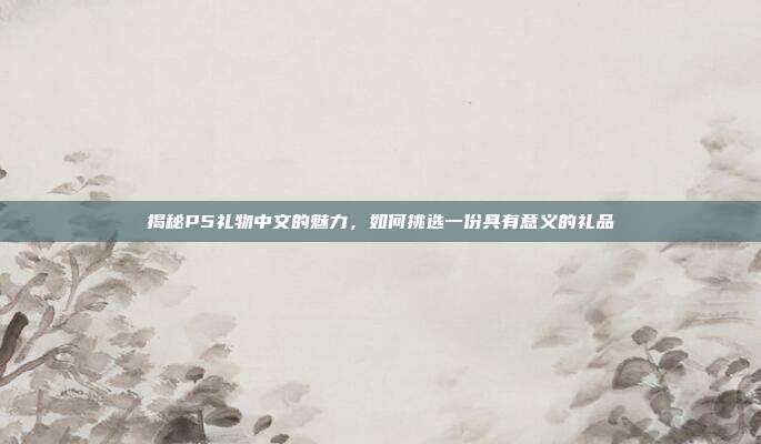揭秘P5礼物中文的魅力，如何挑选一份具有意义的礼品