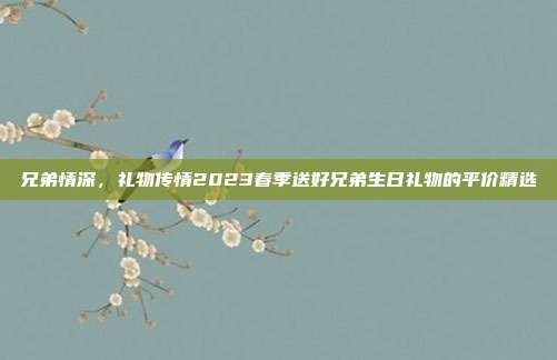 兄弟情深，礼物传情2023春季送好兄弟生日礼物的平价精选