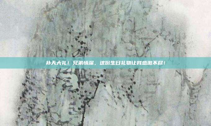 补天大礼！兄弟情深，这份生日礼物让我感激不尽！