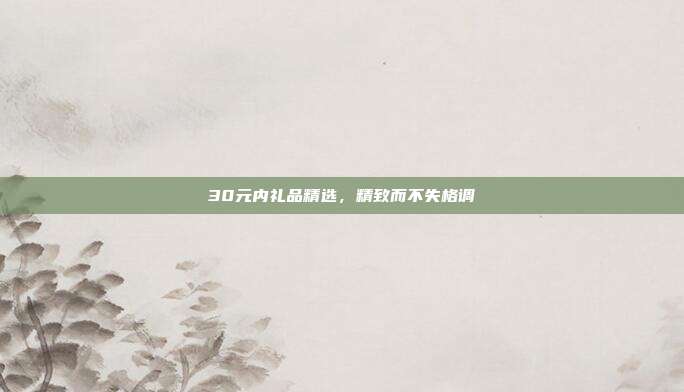 30元内礼品精选，精致而不失格调