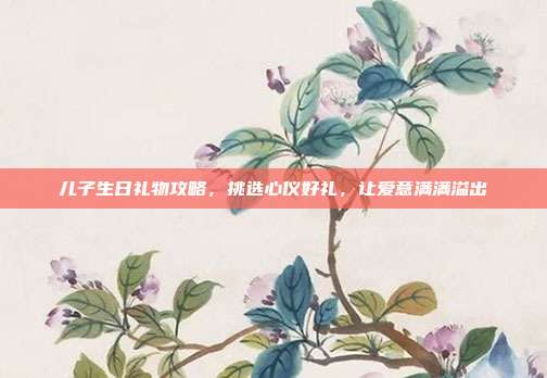 儿子生日礼物攻略，挑选心仪好礼，让爱意满满溢出