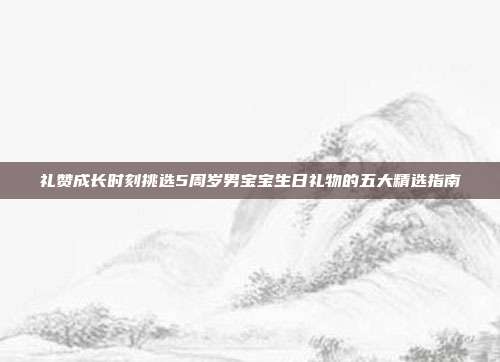 礼赞成长时刻挑选5周岁男宝宝生日礼物的五大精选指南