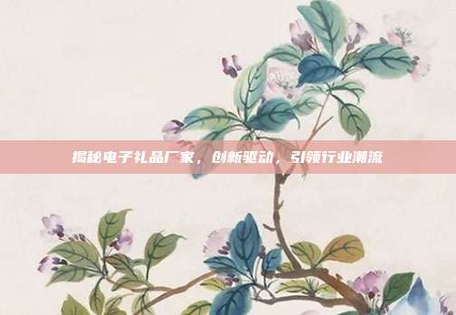 揭秘电子礼品厂家，创新驱动，引领行业潮流