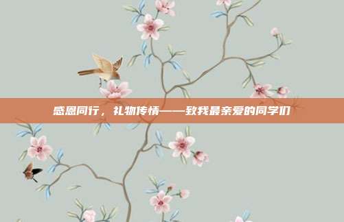 感恩同行，礼物传情——致我最亲爱的同学们