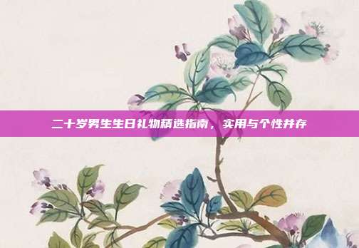 二十岁男生生日礼物精选指南，实用与个性并存