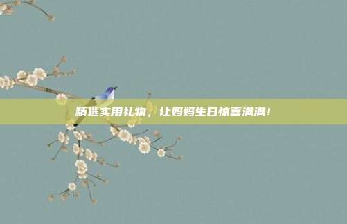 精选实用礼物，让妈妈生日惊喜满满！