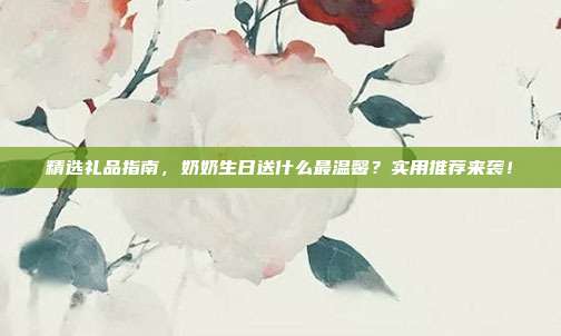 精选礼品指南，奶奶生日送什么最温馨？实用推荐来袭！