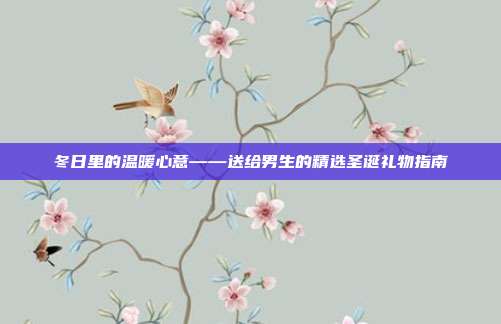 冬日里的温暖心意——送给男生的精选圣诞礼物指南