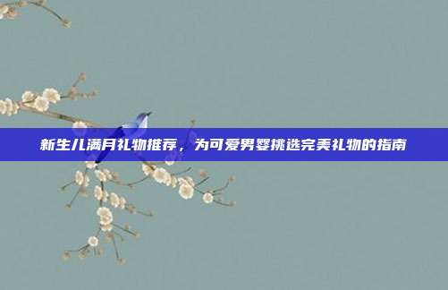 新生儿满月礼物推荐，为可爱男婴挑选完美礼物的指南