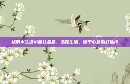 格调水生活水壶礼品盒，品味生活，赠予心意的好选择