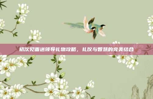 初次见面送领导礼物攻略，礼仪与智慧的完美结合