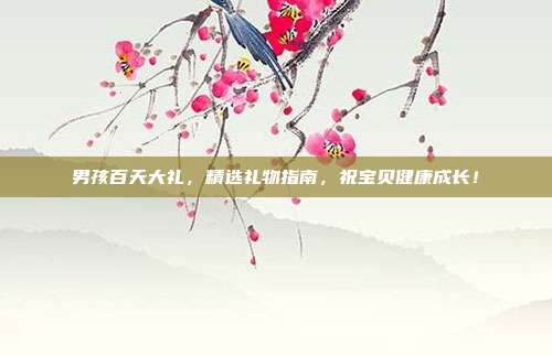 男孩百天大礼，精选礼物指南，祝宝贝健康成长！