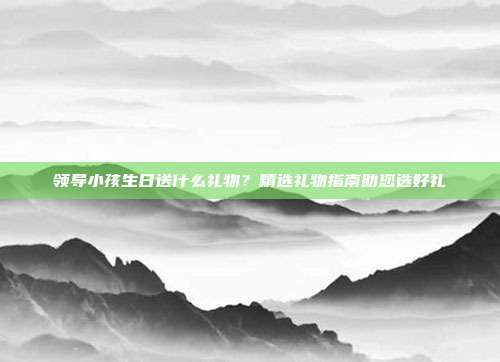 领导小孩生日送什么礼物？精选礼物指南助您选好礼