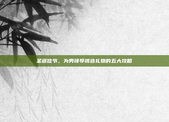 圣诞佳节，为男领导挑选礼物的五大攻略