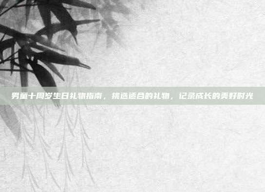 男童十周岁生日礼物指南，挑选适合的礼物，记录成长的美好时光