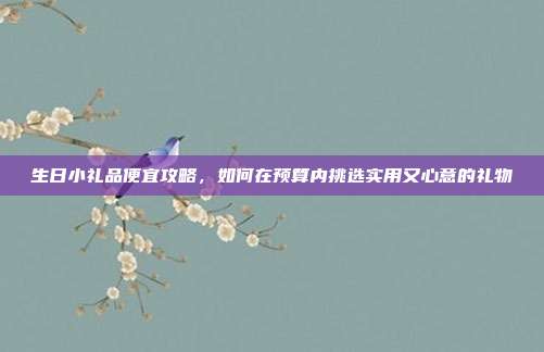 生日小礼品便宜攻略，如何在预算内挑选实用又心意的礼物