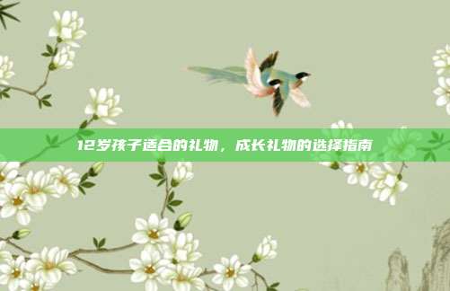 12岁孩子适合的礼物，成长礼物的选择指南