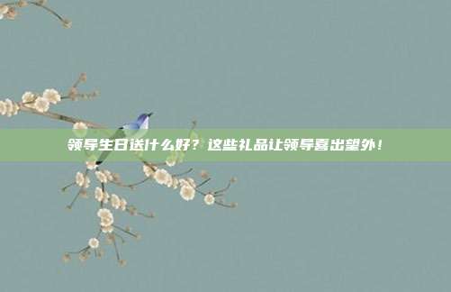 领导生日送什么好？这些礼品让领导喜出望外！
