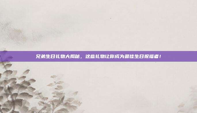 兄弟生日礼物大揭秘，这些礼物让你成为最佳生日祝福者！