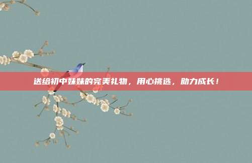 送给初中妹妹的完美礼物，用心挑选，助力成长！