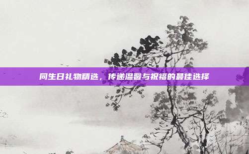 同生日礼物精选，传递温馨与祝福的最佳选择