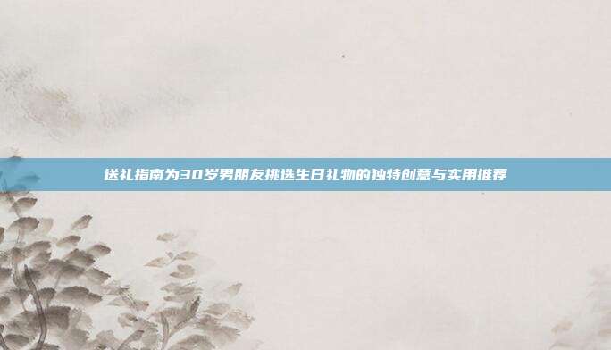 送礼指南为30岁男朋友挑选生日礼物的独特创意与实用推荐