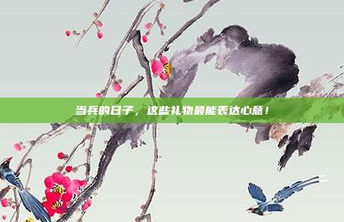 当兵的日子，这些礼物最能表达心意！