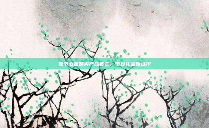 佳节必备精美产品套装，节日礼品新选择