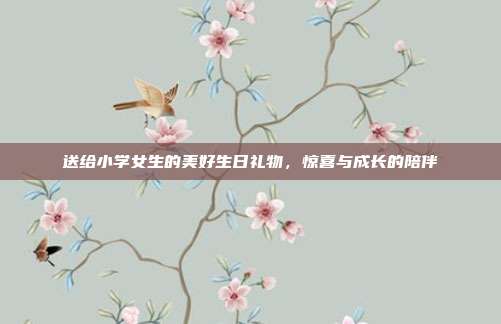送给小学女生的美好生日礼物，惊喜与成长的陪伴