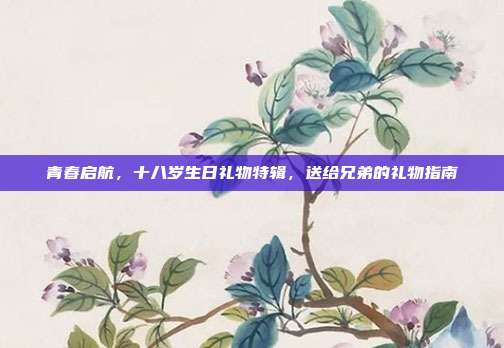 青春启航，十八岁生日礼物特辑，送给兄弟的礼物指南