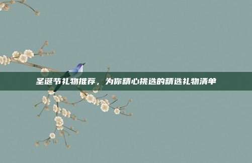 圣诞节礼物推荐，为你精心挑选的精选礼物清单